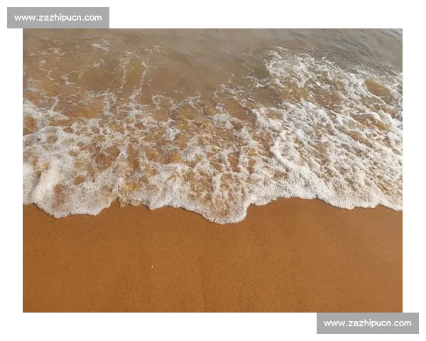 阳光沙海燃动青岛：世界沙排巡回赛演绎肌肉线条与海浪的交响